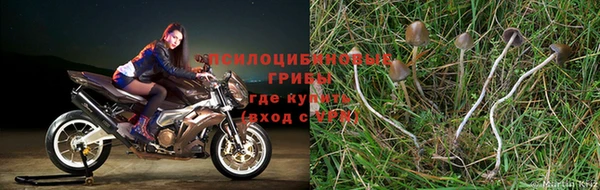 герыч Армянск