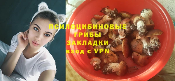 гидра Арсеньев