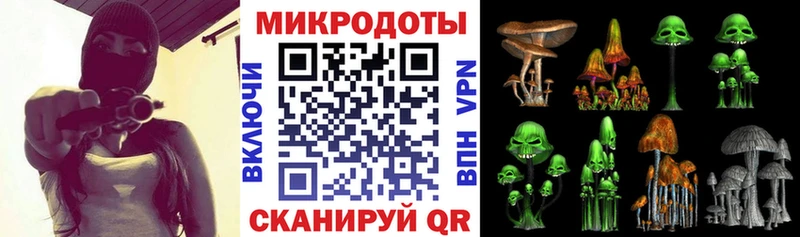 где найти   Можга  Псилоцибиновые грибы Cubensis 